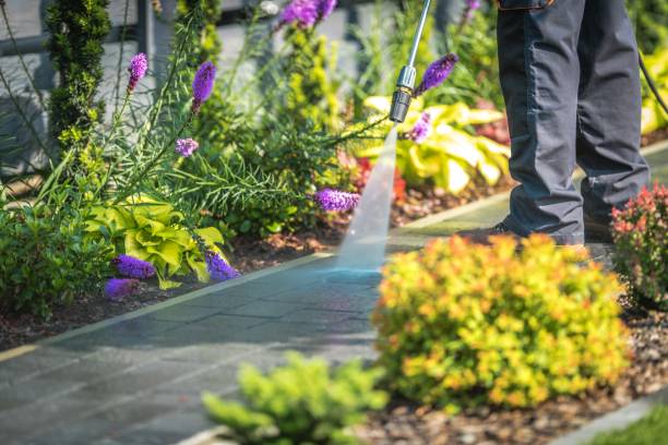 Best Spring Cleaning  in Bowling Green, OH